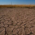 Andhra Pradesh Drought Crisis Deepens: 283 Mandals Severely Hit Across 21 Districts